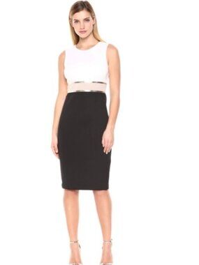 Calvin Klein Women's Sleeveless Color Block Sheath Metallic Trim Dress 10